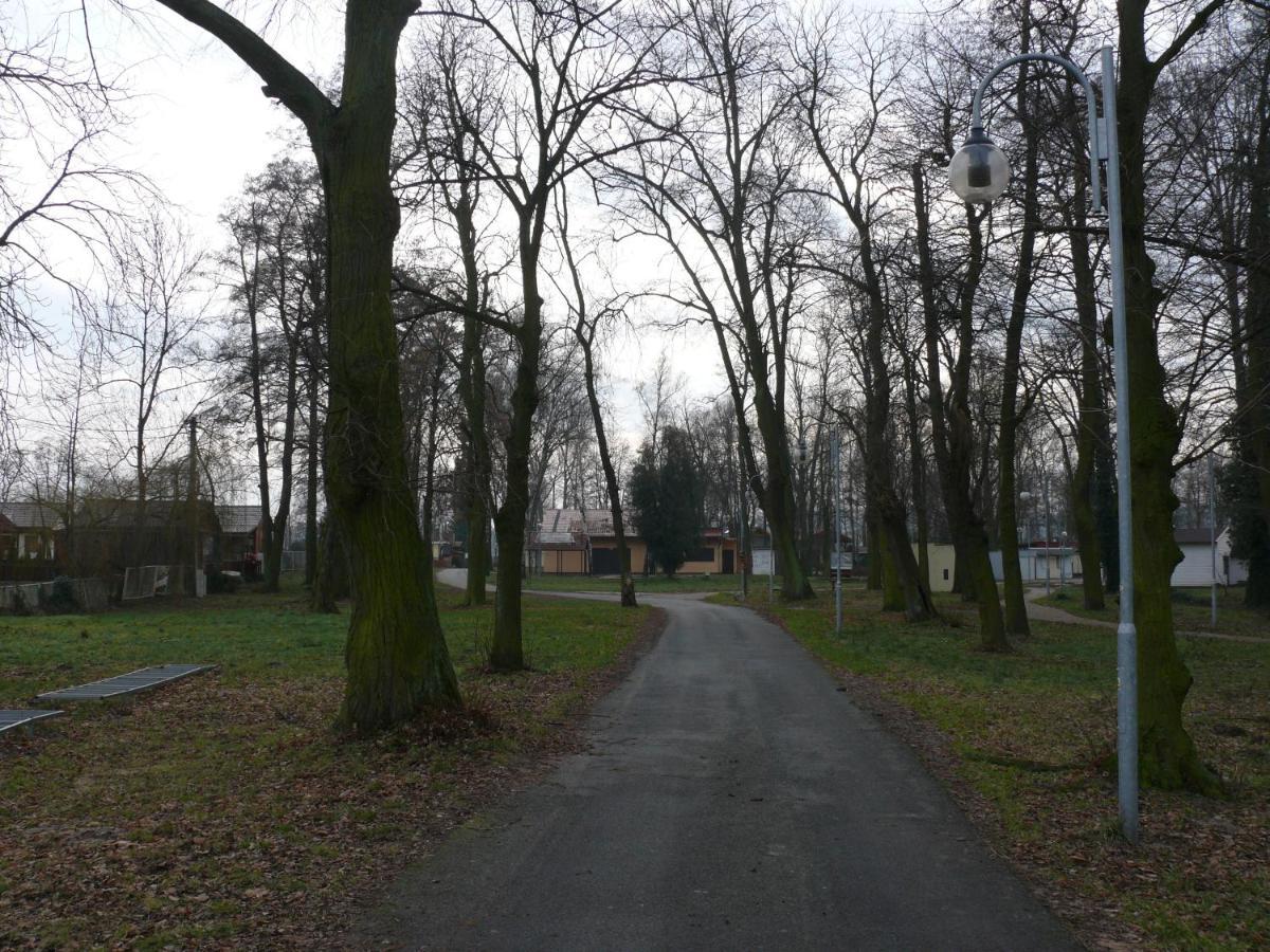 Domek Nad Jeziorem Villa Osieczna Exterior foto