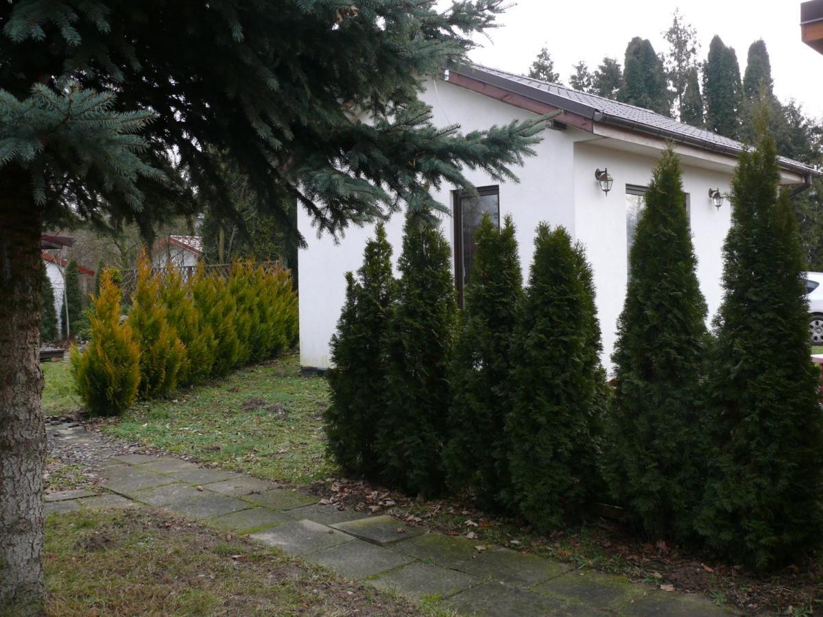 Domek Nad Jeziorem Osieczna Exterior foto